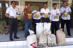 Disbun Kaltim prihatin benih sawit ilegal dijual secara daring