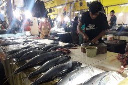 Harga ikan cakalang di Ternate naik