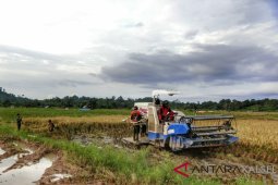 Asa petani dan nelayan Terhadap Pulau Laut