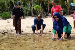 Bupati Hildi lepasliarkan tukik di Karimata