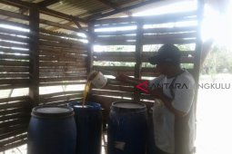 Selamet kembangkan pupuk urine kambing