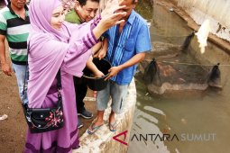 Isnandar tabur ribuan benih ikan mas