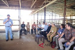 Kedutaan Australia kunjungi pembiakan sapi potong