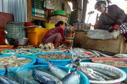 Pedagang Tuban  Perkirakan Harga Ikan Laut Naik Masuk Ramadhan