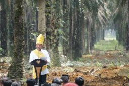 Peremajaan Sawit Tingkatkan Kesejahteraan Rakyat