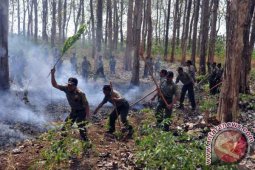 Permadam Kebakaran Bojonegoro Waspadai Ancaman Kebakaran Hutan