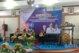 Menkes sebut bekas tambang timah jadi sarang nyamuk malaria