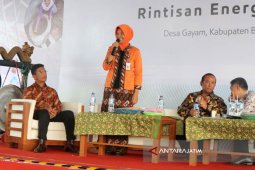 Pemkab Bojonegoro Ajak Masyarakat Tanam Pohon Perluas Ruang Hijau