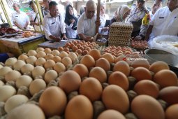 Telur Ayam Ras Penyumbang Inflasi di Jatim Selama Juli 2018