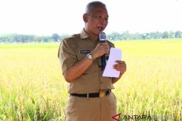 HST is committed to improving populist economy in agriculture