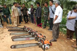 DLHK Bengkulu bersihkan sawit dalam hutan