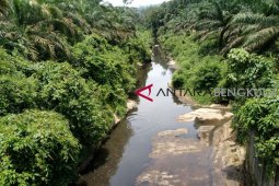 Walhi Bengkulu soroti pencemaran Sungai Mertam