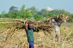 PTPN X garap hilirisasi produk, salah satunya gula ritel