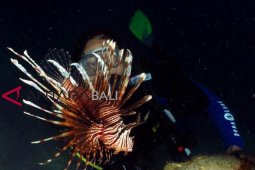 Fotografer mancanegara ikuti kompetisi "underwater" di Bali