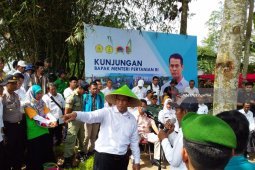 Kementan Dorong Petani Maksimalkan Pemanfaatan Alsintan