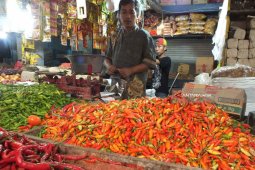 Harga Cabai di Pasar Tradisional Jember Fluktuatif