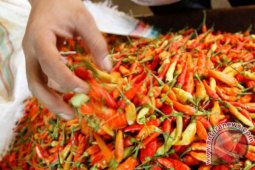 Kalbar datangkan 11,5 ton Cabe Rawit dari Jawa Timur