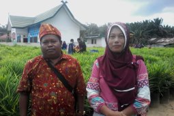 Supari-Kusminingsih tak asing dengan kompos