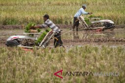 Kementan salurkan bantuan Alsintan ke Tikep