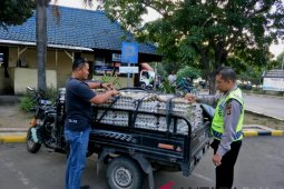 Polisi Jembrana menyita telur tanpa dokumen karantina