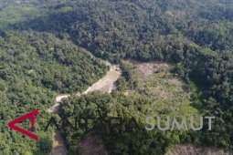 Sambut Hari Keanekaragaman Hayati Dunia, PT NSHE berbagi cerita Proyek PLTA Batangtoru