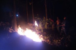 Petugas Gabungan Padamkan Kebakaran Hutan di Ponorogo