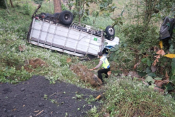 Truk Pengangkut Pasir Terguling di Ponorogo