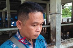 Stok daging di Bangka cukup hingga Lebaran
