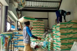 Harga Beras Kualitas Medium di Bojonegoro Turun