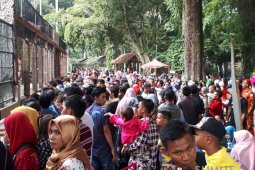 Kunjungan Taman Hewan  Pematangsiantar 38.794 orang