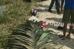 Pemotor tabrak truk saat  nyalip