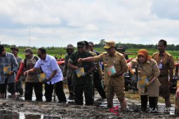 Governor plant inaugural rice at World Food Day site