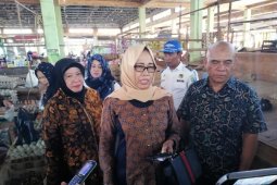 Harga Ayam Potong Capai Rp45 ribu Perkilo.