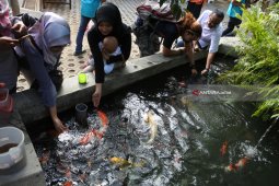 Taman Botani Sukorambi,
