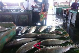 Pemkab Belitung buat relaksasi pajak selama COVID-19