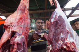 Konsumsi Daging Berlebihan Melemahkan Imunitas