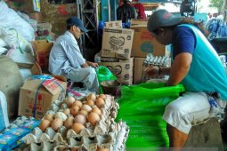 Harga Telur di Bojonegoro Rp27.900/Kilogram