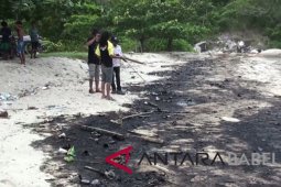 Walhi: limbah hitam jelas pelanggaran lingkungan hidup