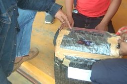 BNN Jatim Gagalkan Peredaran Ganja 7 Kilogram