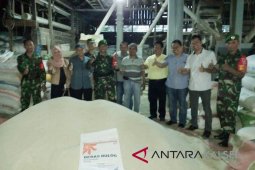 Bulog :  Penyerapan gabah di HST 2.350 ton