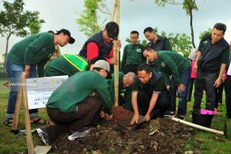 PLN-Pemkot Surabaya Gelar Aksi Tanam  1.000 Pohon Jacaranda