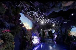Jakarta Aquarium Indonesia