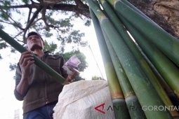 Penjualan Bambu Untuk "Nasi Jaha" Meningkat