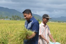 Pemkab Bone Bolango Tingkatkan Kapasitas Kelembagaan BUMDes