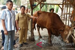 Pemkab Batubara akan serahkan pabrik pakan pada kelompok profesional