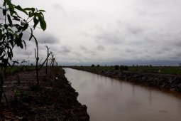Pertanian warga  mulai tumbuh subur