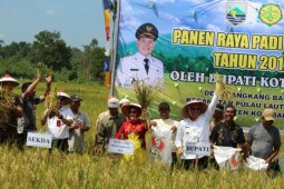 Lapsus : Kotabaru menuju swasembada pangan