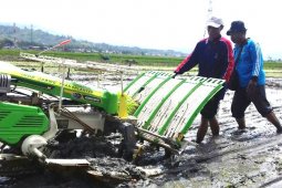 Pelatihan optimalisasi alsintan
