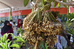 Bupati Magetan Ajak Petani Dukung Kedaulatan Pangan (Video)