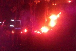 Hutan Mlik Perhutan di Ponorogo Terbakar